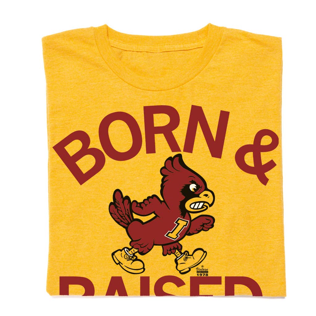 Cyclones Born & Raised Tee